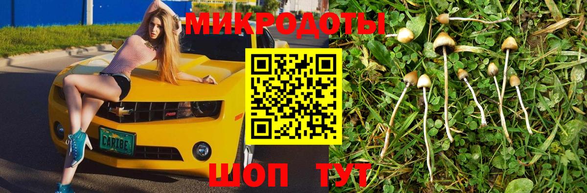Псилоцибиновые грибы GOLDEN TEACHER  Вход с VPN  Галлюциногенные грибы Psilocybe  купить наркоту  Мытищи 